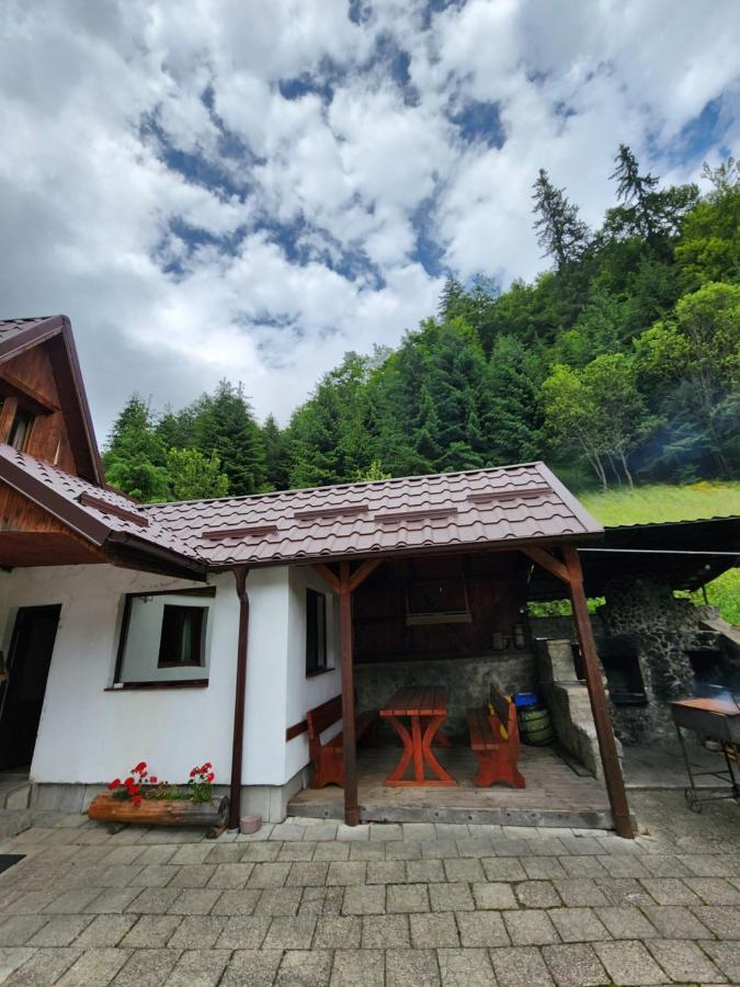 Pensiunea Susman Rachitele Exterior photo