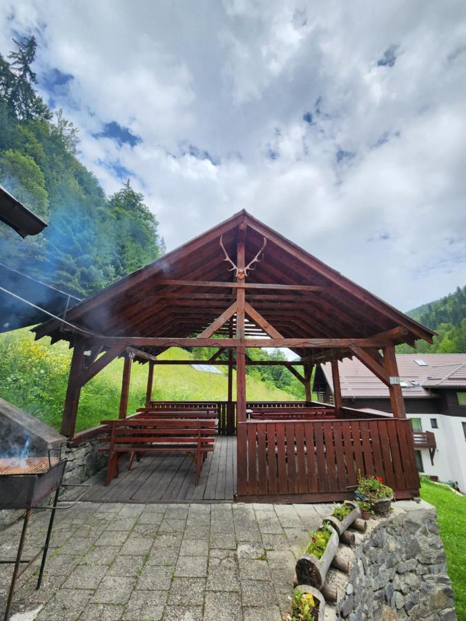 Pensiunea Susman Rachitele Exterior photo