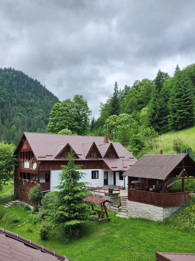 Pensiunea Susman Rachitele Exterior photo