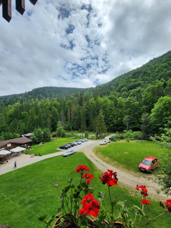 Pensiunea Susman Rachitele Exterior photo